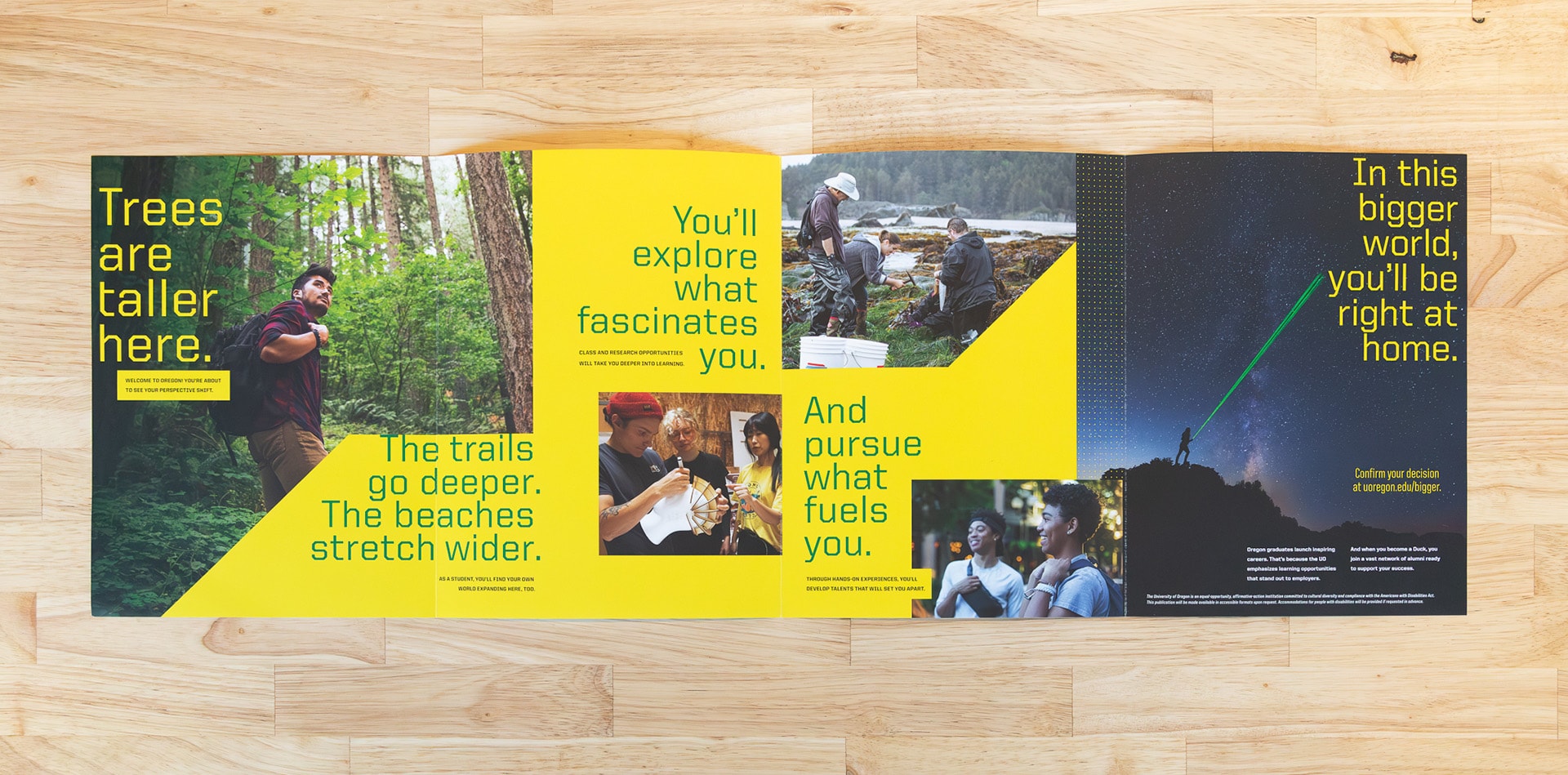 An open mailer spread across a table that features photos of students and green and yellow text. 