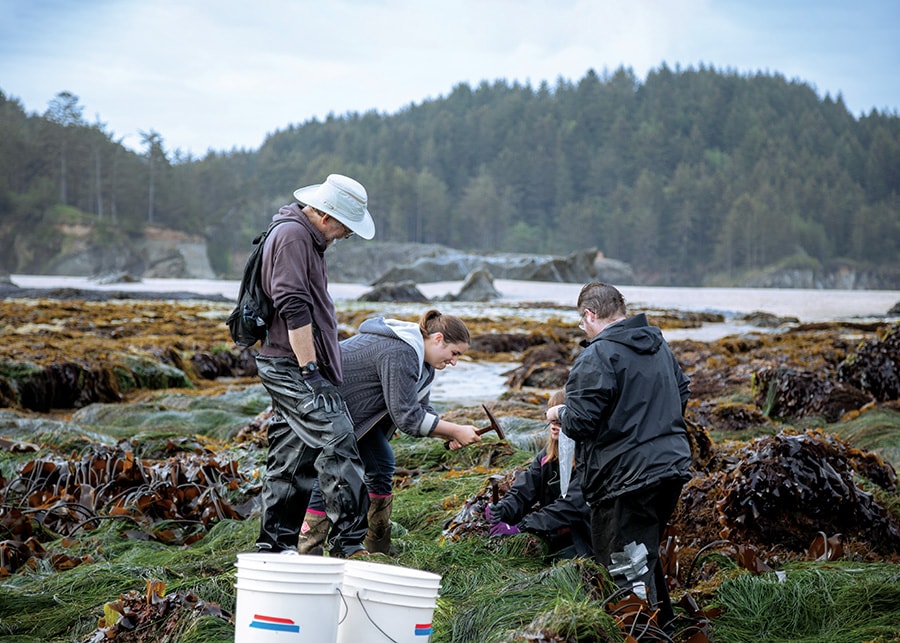 Three young people gathered at the rocky edge of a body of water doing research. As one person holds a spike, a second uses a tool to hammer it into a boulder.